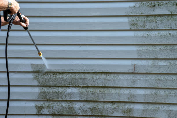 South Lockport, NY Junk Removal Company