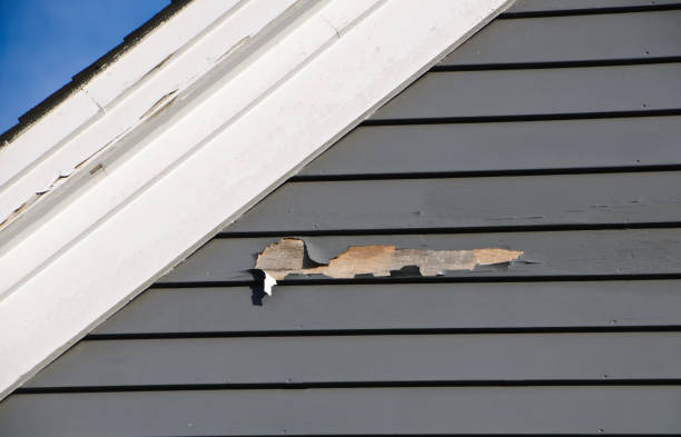 Best Same-Day Junk Removal Services  in South Lockport, NY